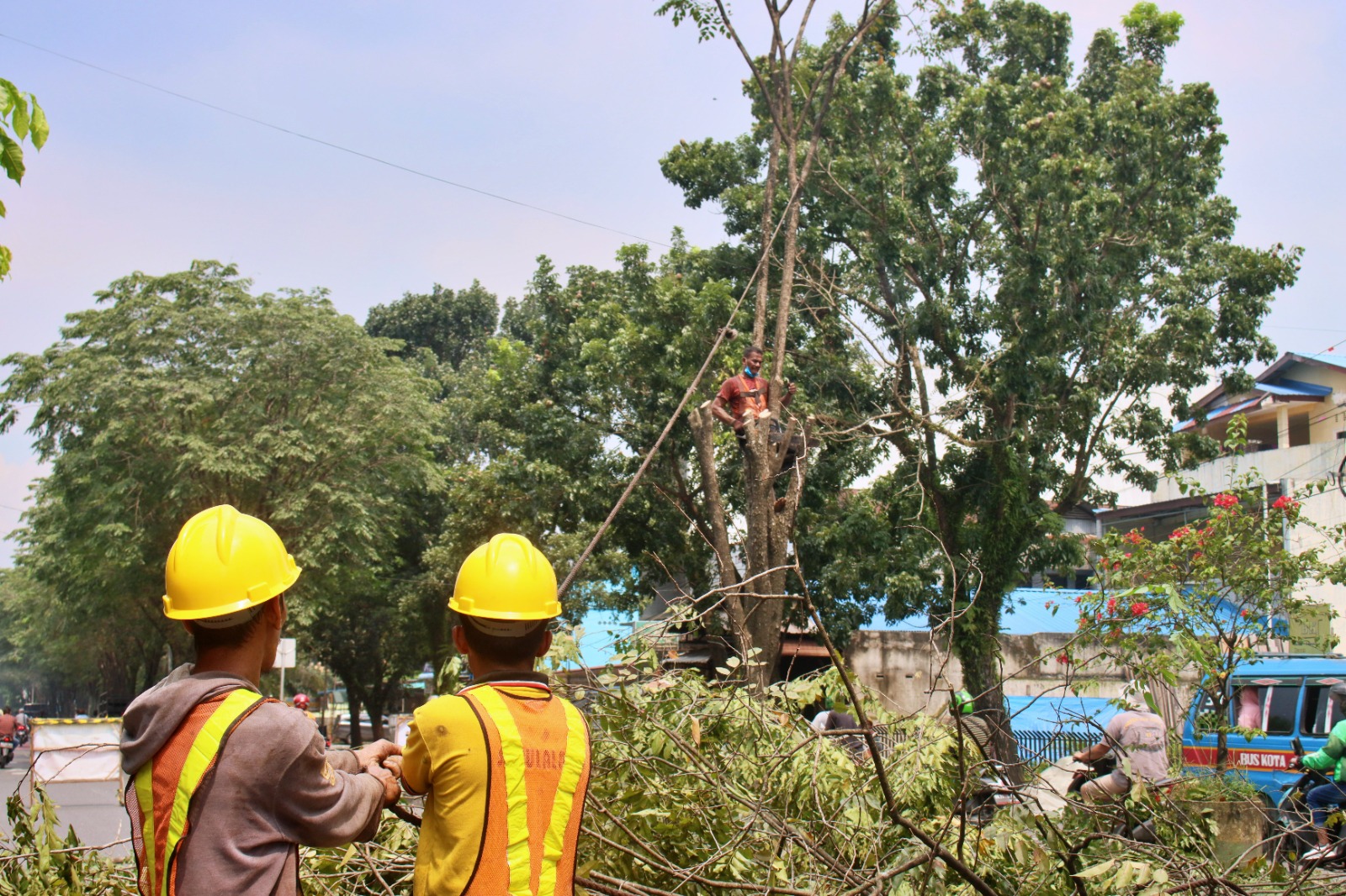 Antisipasi Pohon Tumbang, Kecamatan Kolaborasi dengan Dinas SDABMBK lakukan Pemangkasan Pohon